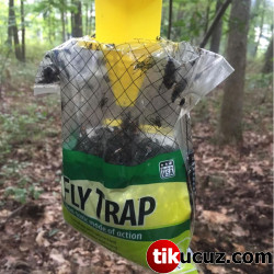 Fly Trap Doğal Sinek Kapanı