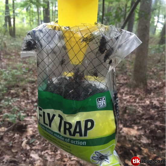 Fly Trap Doğal Sinek Kapanı